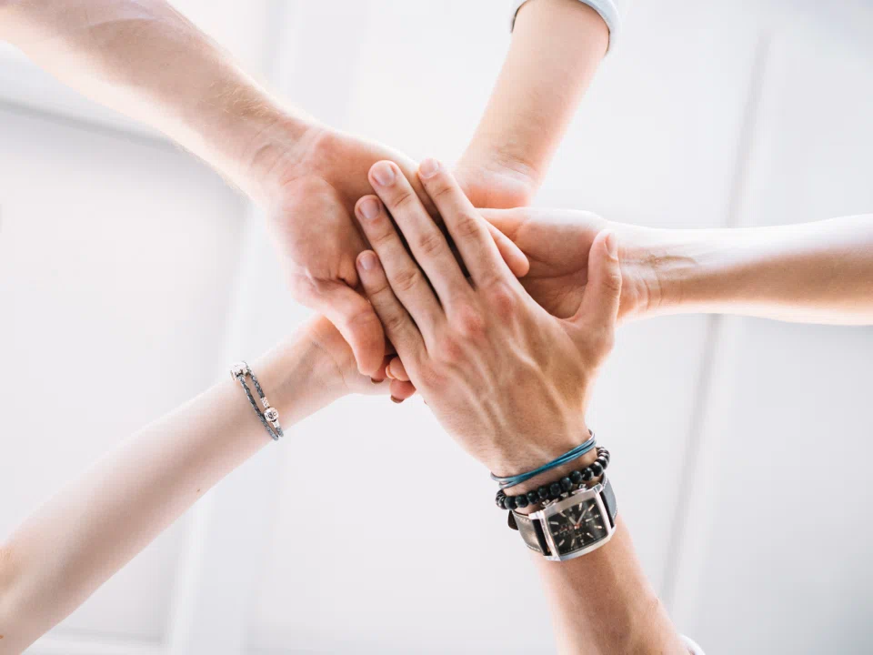 Contatar programa tratamiento abuso sustancias 9seeds